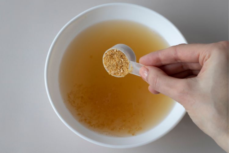 What is the difference between bone broth and bone broth protein