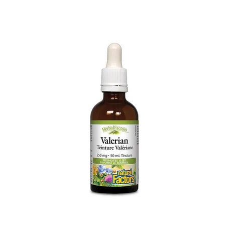 Natural Factors HerbalFactors Valerian Tincture - 50 ml