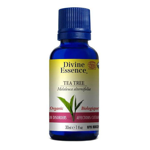 Divine Essence Organic Tea Tree Oil - YesWellness.com