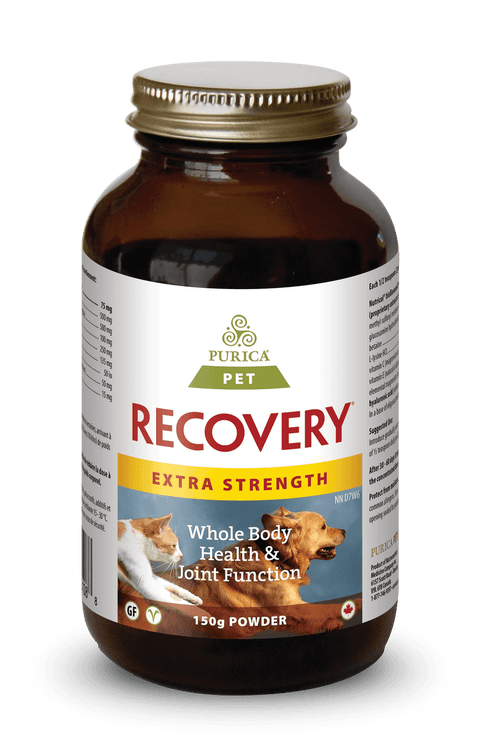 Purica Pet Recovery Extra Strength Powder (canine & feline) - YesWellness.com