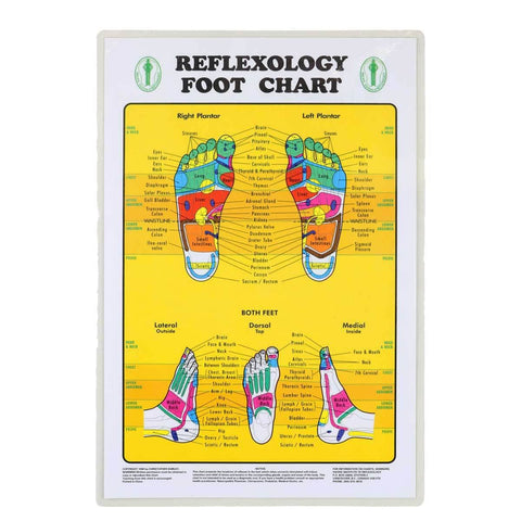 Relaxus Foot Reflexology Chart - YesWellness.com