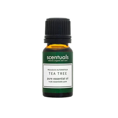 Scentuals Tea Tree Pure Essential Oil 10mL - YesWellness.com