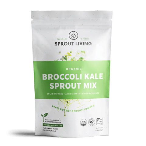 Sprout Living Organic Broccoli Kale Sprout Mix 100% Potent Sprout Powder 113g - YesWellness.com