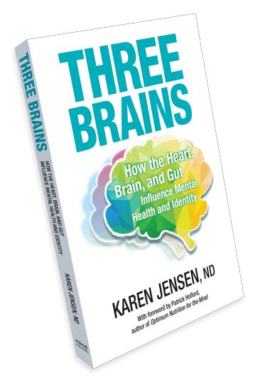 Three Brains Book By Karen Jensen ND 1 book - YesWellness.com