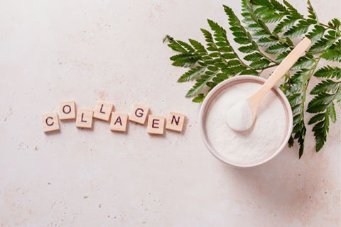 Can-Collagen-Replace-Protein-Powder