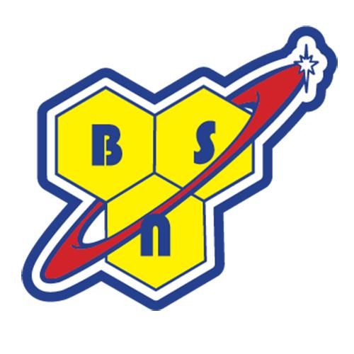 The BSN logo shows three yellow hexagons with the letters “B,” “S,” and “N,” crossed by a red swoosh ending in a starburst, symbolizing energy and strength.