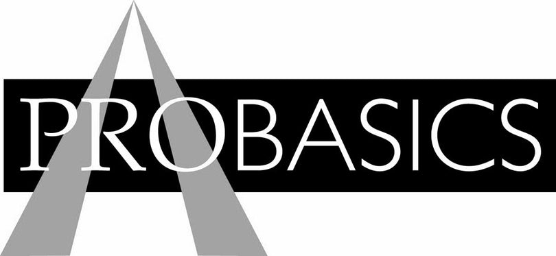 The ProBasics logo features the word “PROBASICS” in white capital letters on a black horizontal bar, with two light gray triangular shapes rising behind the text.