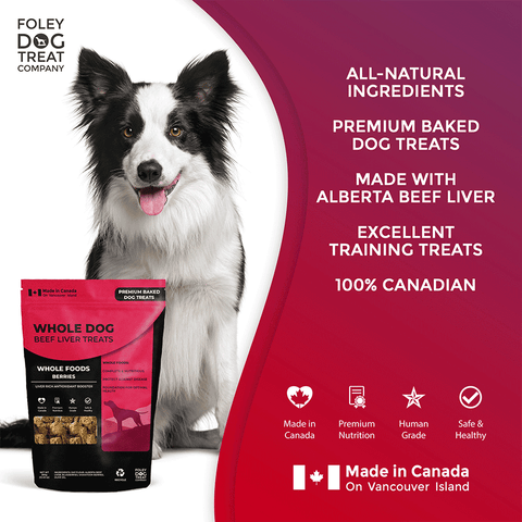 Foley's Whole Dog Beef Liver Treats Whole Foods Berries 380g - YesWellness.com