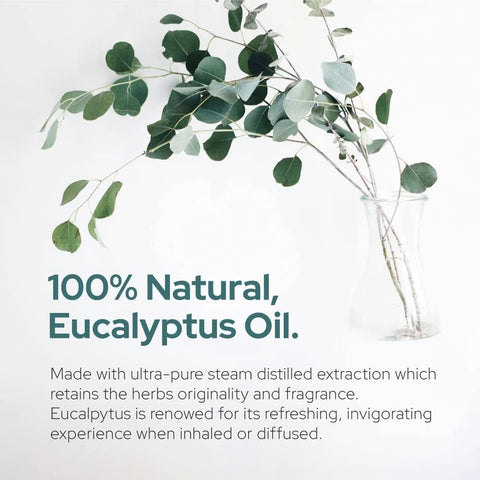 Plant of Life Eucalyptus Essential Oil Multi Sizes