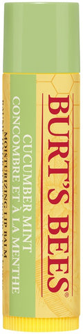 Burt's Bees Moisturizing Lip Balm