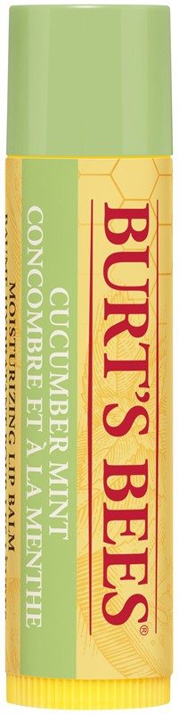 Burt's Bees Moisturizing Lip Balm