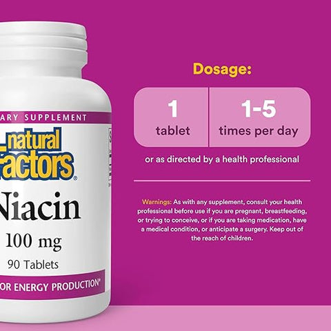 Natural Factors Vitamin B3 500mg Tablets - 90 Tablets