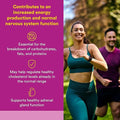 Natural Factors Niacin (Vitamin B3) 500mg 90 Tablets