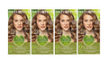 Naturtint Permanent Hair Color Ammonia Free 170mL (Various Colours)