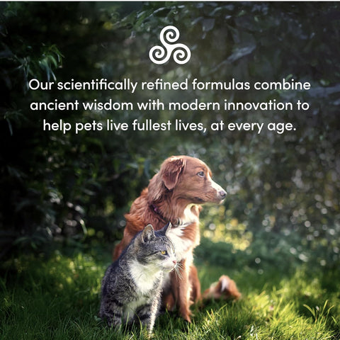 Purica Pet Recovery Extra Strength 150g Powder