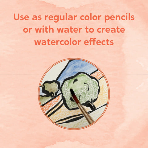 Chronicles Books The Sweet Life: 10 Watercolor Pencils