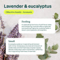 Attitude Nature+ Technology Air Purifier Lavender & Eucalyptus 227g - YesWellness.com