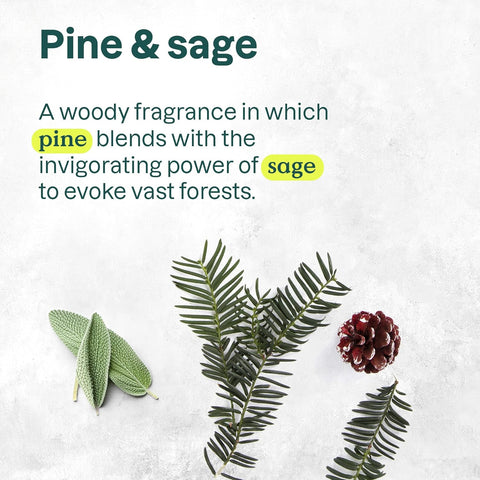 Attitude Pine & Sage Natural Care Hand Soap 473 mL