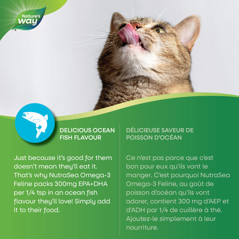 Baie Run Feline Omega3 EPA & DHA 296mg Liquid Ocean Fish Flavour 140 mL (DISCONTINUED)