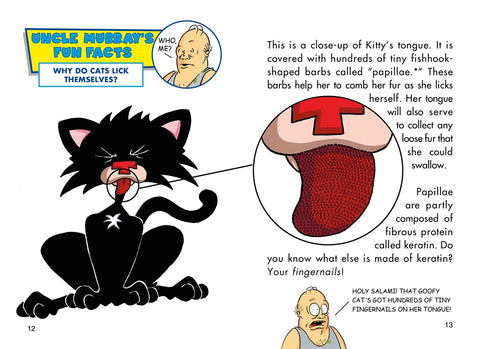 Bad Kitty Gets a Bath Full Color Edition by Nick Bruel