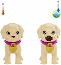 Barbie Adoption Playset with Pets and Accessories