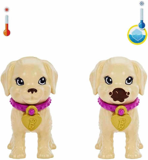 Barbie Adoption Playset with Pets and Accessories