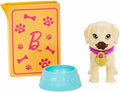 Barbie Adoption Playset with Pets and Accessories