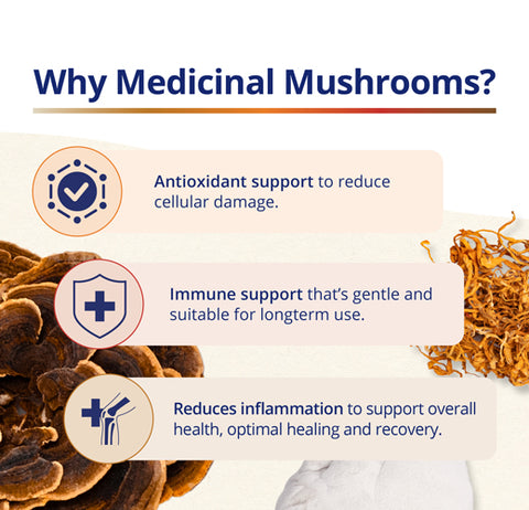 CanPrev Cordyceps Full Spectrum 60 Vegetable Capsules