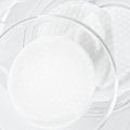 Celimax Ji Woo Gae One Step Body Brightening Pad 110mL / 60 Pads
