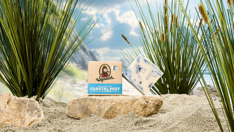 Dr. Squatch Men's Natural Soap Coastal Mist 141g