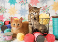 Cobble Hill Puzzle Balls of Fluff 1000 Pieces