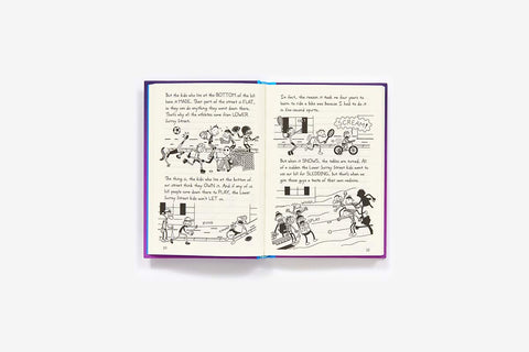 Diary of a Wimpy Kid #13: The Meltdown