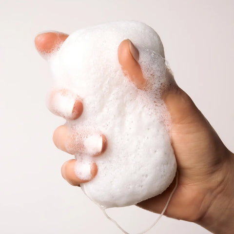 Everist The Compostable Konjac Body Sponge