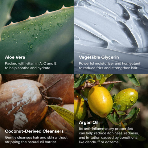 Everist The Fragrance-Free Shampoo Concentrate 100mL