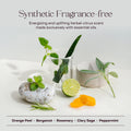 Everist The Haircare Meets Skincare Set - Shampoo & Conditioner Concentrates 100mL