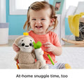 Fisher-Price Slow Much Fun Stroller Sloth Baby Toy With Sensory Details For Newborns