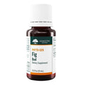 Genestra Fig Bud Liquid Supplement 15mL - YesWellness.com