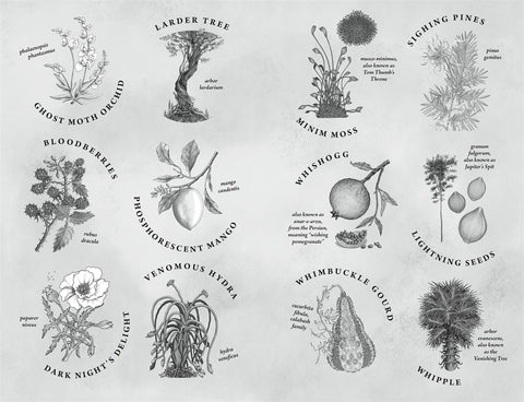 Greenwild: The World Behind the Door by Pari Thomson