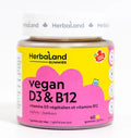 Herbaland Gummies for Adults Vegan D3 & B12 Raspberry Flavour 60 Gummies - YesWellness.com
