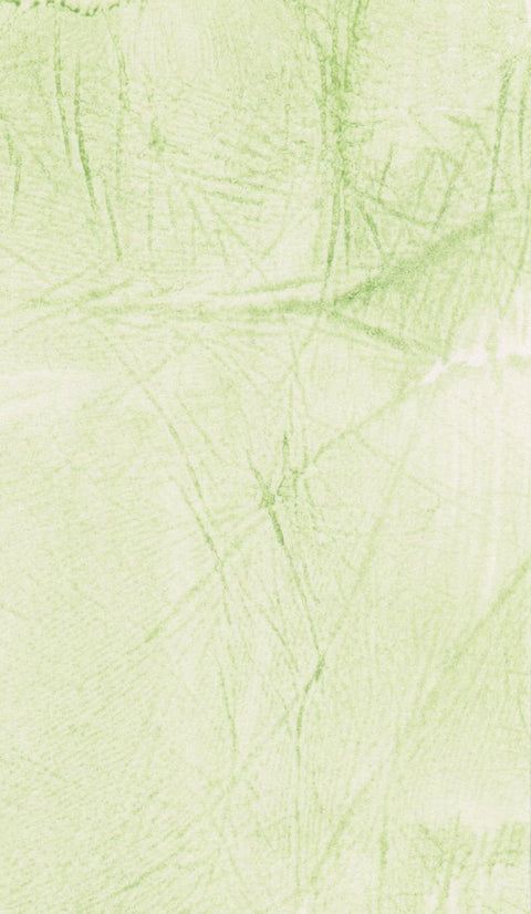 Imp Prints Hand or Foot Print Paint Swab