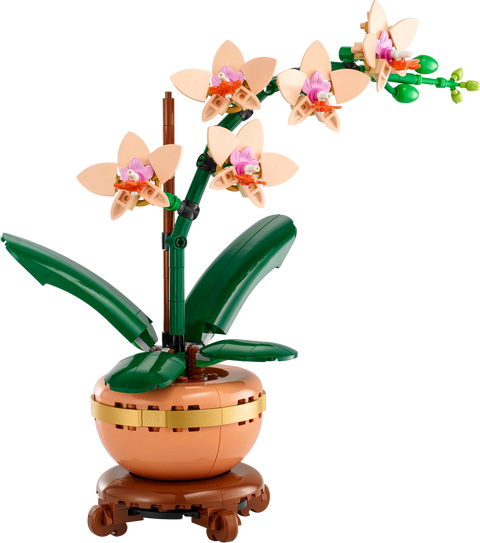 LEGO Botanicals Mini Orchid, 10343