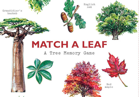 Match a Leaf: A Tree Memory Game by Tony Kirkham
