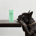 Mintier Dog Breath Spray 60mL