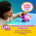 Moose Toys Little Live Pets Chameleon Bright Light