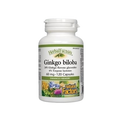 Natural Factors HerbalFactors Ginkgo BilobaCapsules 60mg - 120 Capsules - YesWellness.com