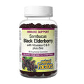 Natural Factors Sambucus Black Elderberry With Vitamins C & D Plus Zinc 60 Veg Gummies - YesWellness.com