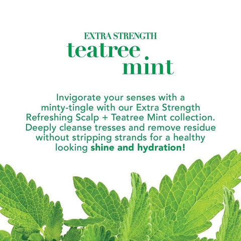 OGX Extra Strength Refreshing Scalp + Tea Tree Mint Conditioner, 385ml