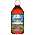 Omega Alpha Mushroom Extract Cordyceps 250mL - Yeswellness