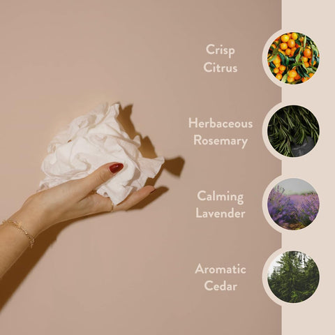 Paume Hand and Body Cleansing Wipes 20 Counts