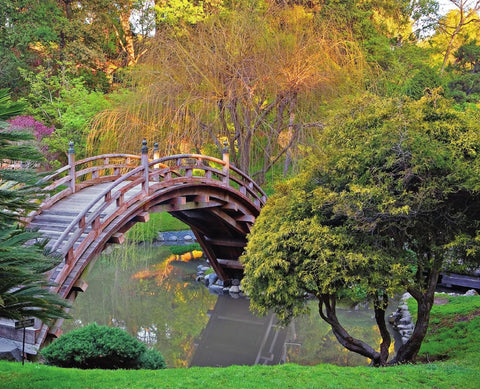 Quiet Beauty The Japanese Gardens of North America
